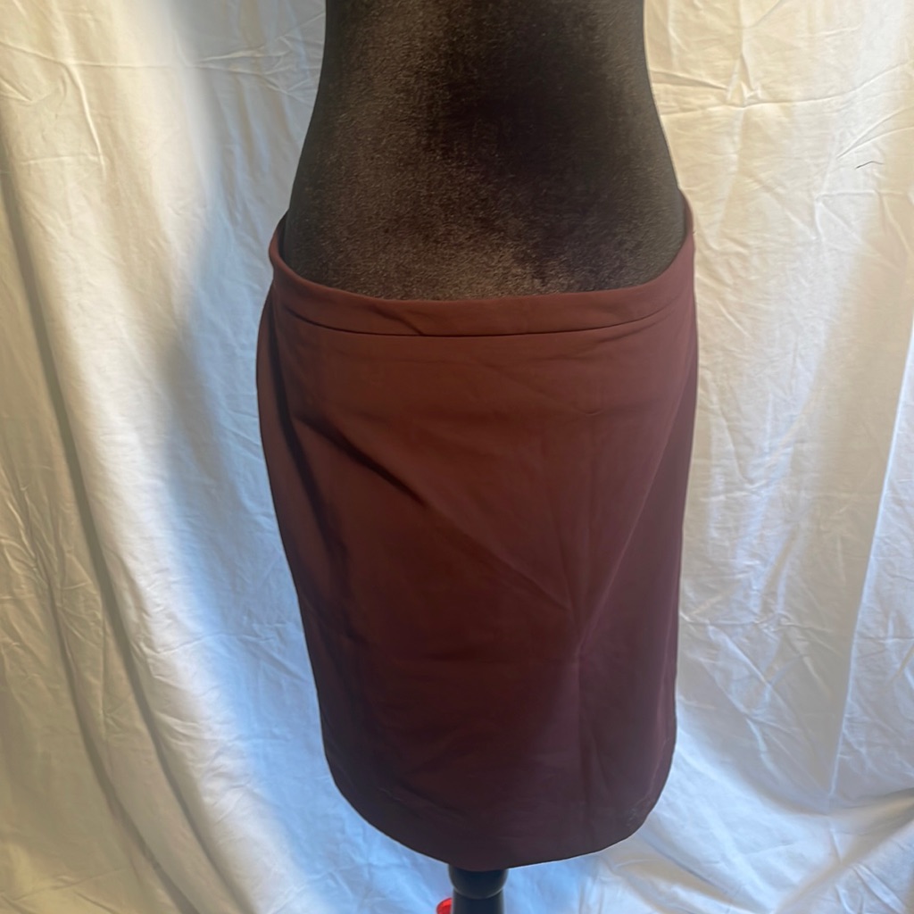 Ann Taylor Brand New Skirt